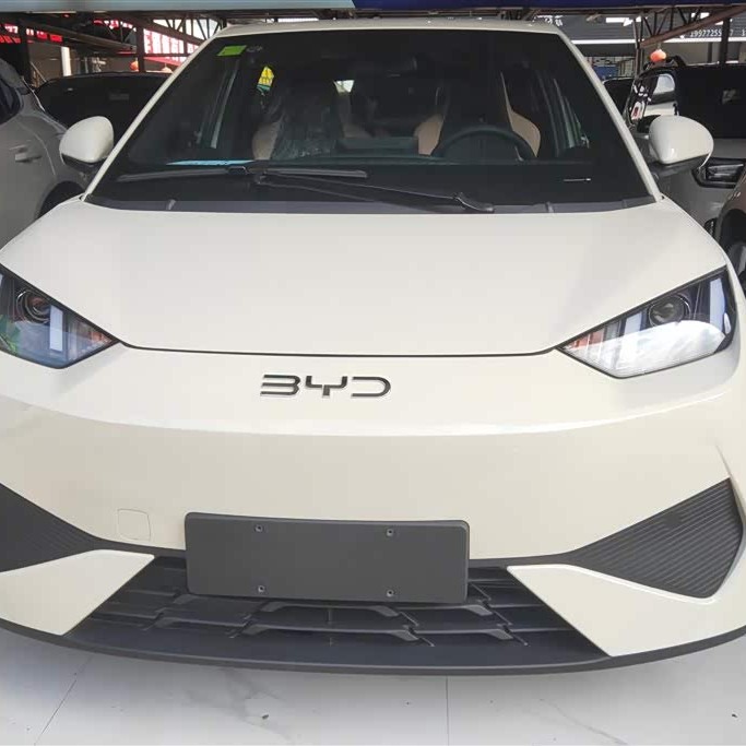 Seagull 2025 Smart Driving Edition 305km Vitality Edition Seagull 2025 Smart Driving Edition 305km Vitality Edition