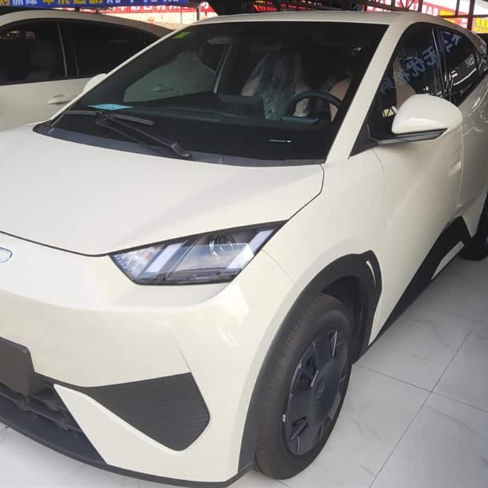 Seagull 2025 Smart Driving Edition 305km Vitality Edition