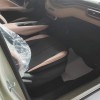 Seagull 2025 Smart Driving Edition 305km Vitality Edition