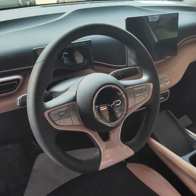 Seagull 2025 Smart Driving Edition 305km Vitality Edition Seagull 2025 Smart Driving Edition 305km Vitality Edition