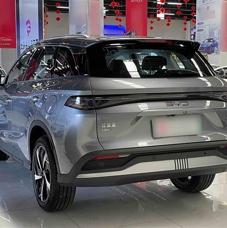Sea Lion 05 DM-i 2025 DM-i 115KM Flagship Model Sea Lion 05 DM-i 2025 DM-i 115KM Flagship Model