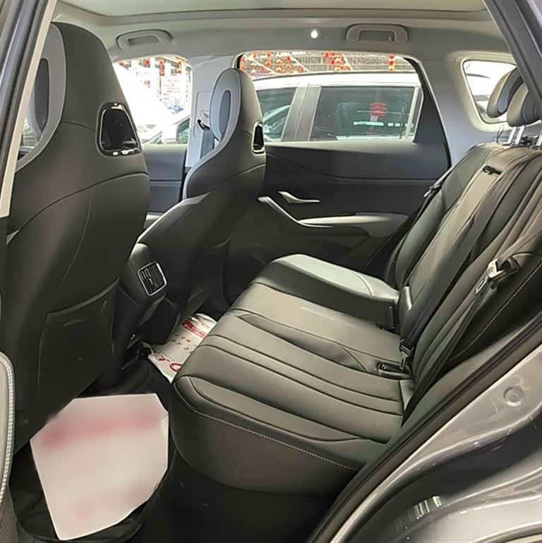Sea Lion 05 DM-i 2025 DM-i 115KM Flagship Model Sea Lion 05 DM-i 2025 DM-i 115KM Flagship Model