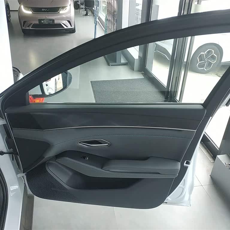 Qin L 2024 DM-i 80KM Beyond Edition Qin L 2024 DM-i 80KM Beyond Edition