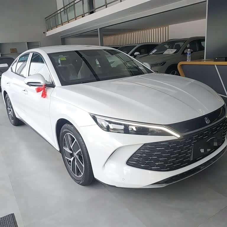 Qin L 2024 DM-i 80KM Beyond Edition Qin L 2024 DM-i 80KM Beyond Edition