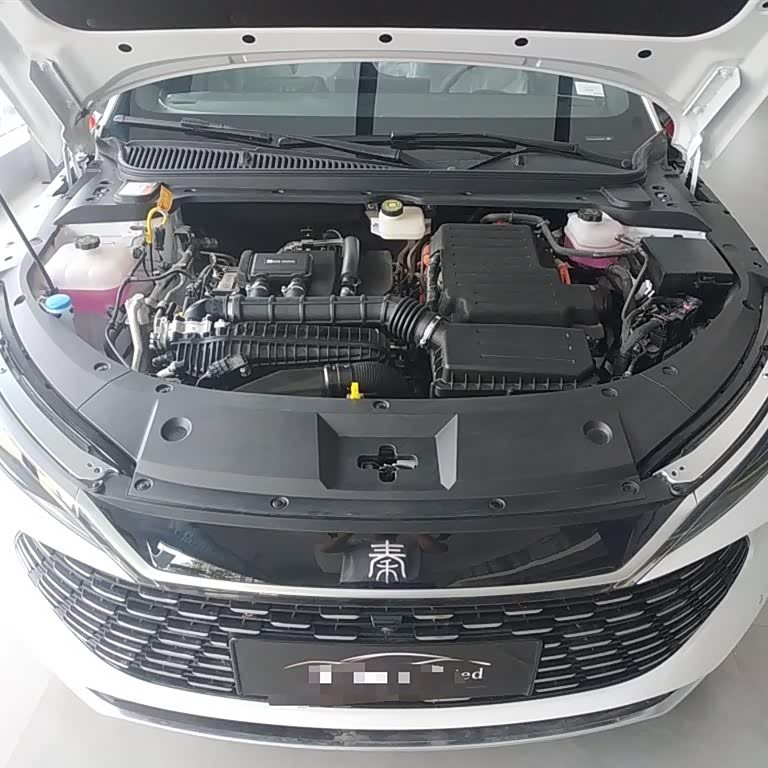 Qin L 2024 DM-i 80KM Beyond Edition Qin L 2024 DM-i 80KM Beyond Edition