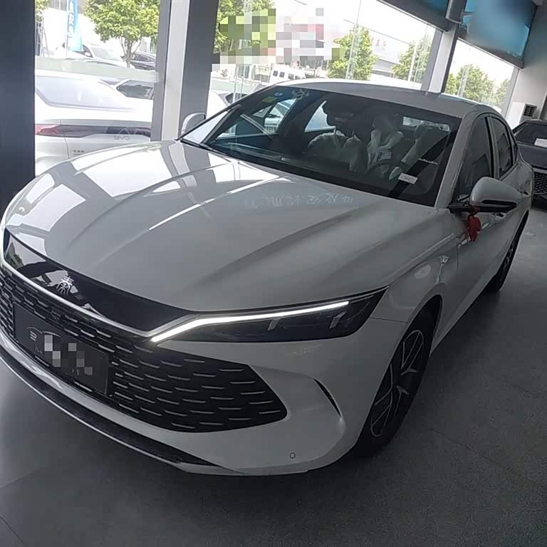 Qin L 2024 DM-i 80KM Beyond Edition