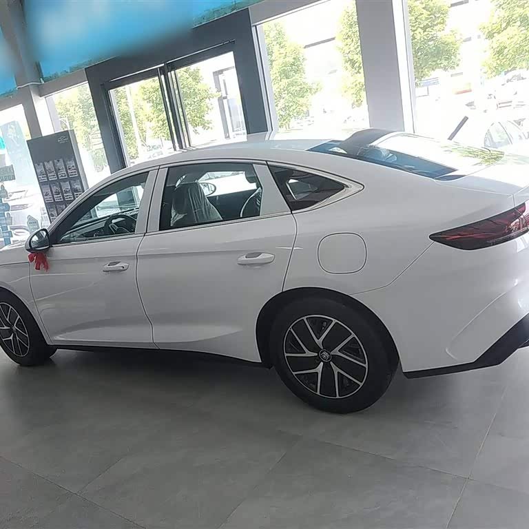 Qin L 2024 DM-i 80KM Beyond Edition Qin L 2024 DM-i 80KM Beyond Edition