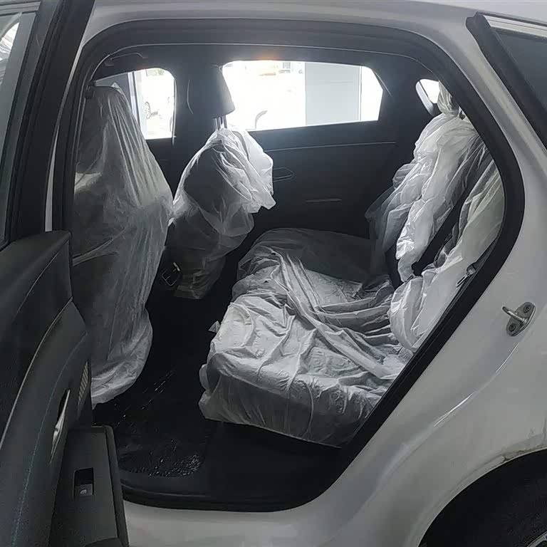 Qin L 2024 DM-i 80KM Beyond Edition Qin L 2024 DM-i 80KM Beyond Edition