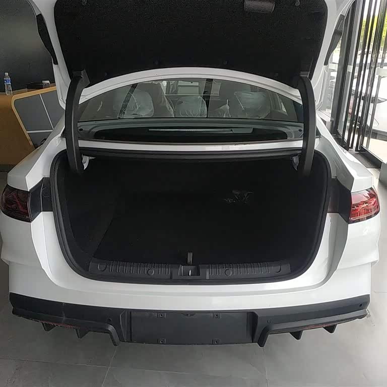 Qin L 2024 DM-i 80KM Beyond Edition Qin L 2024 DM-i 80KM Beyond Edition