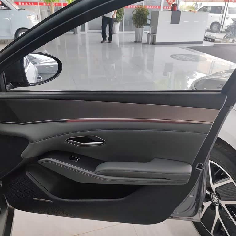 Qin L 2024 DM-i 120KM Excellence Edition Qin L 2024 DM-i 120KM Excellence Edition