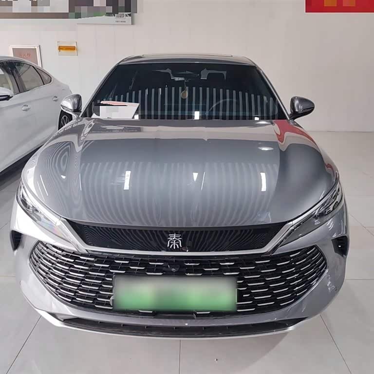 Qin L 2024 DM-i 120KM Excellence Edition Qin L 2024 DM-i 120KM Excellence Edition
