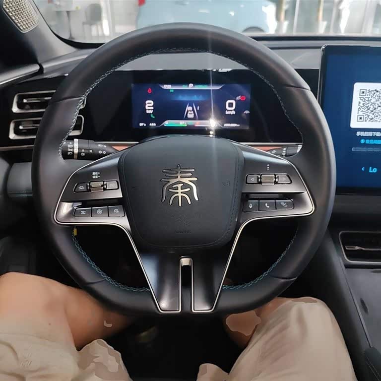 Qin L 2024 DM-i 120KM Excellence Edition Qin L 2024 DM-i 120KM Excellence Edition