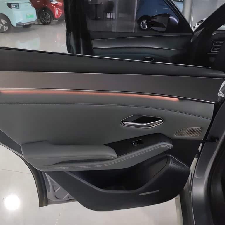 Qin L 2024 DM-i 120KM Excellence Edition Qin L 2024 DM-i 120KM Excellence Edition