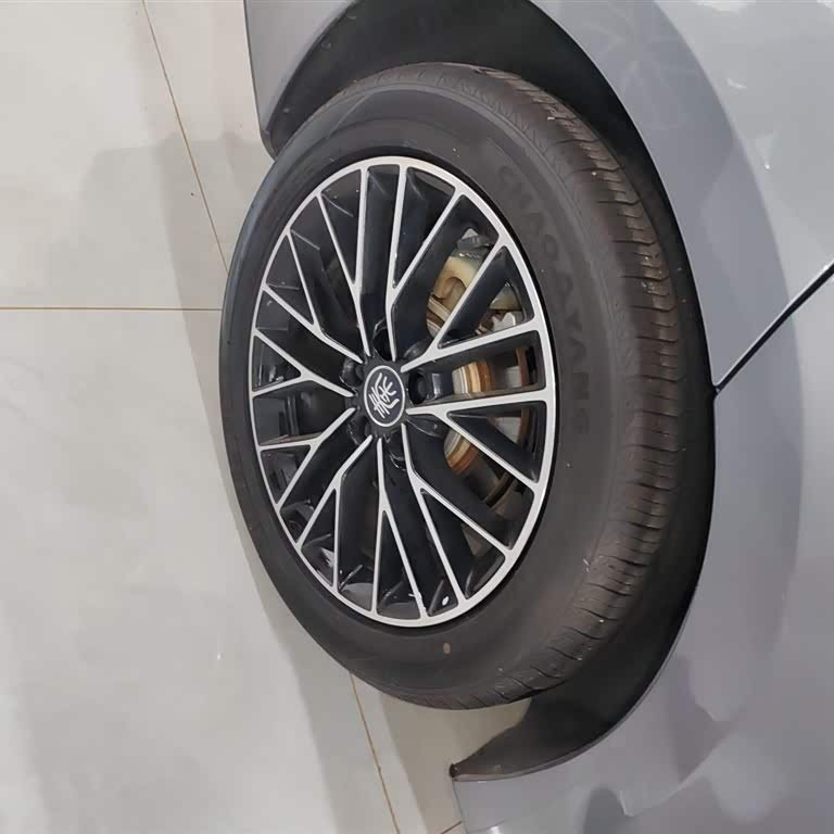 Qin L 2024 DM-i 120KM Excellence Edition Qin L 2024 DM-i 120KM Excellence Edition