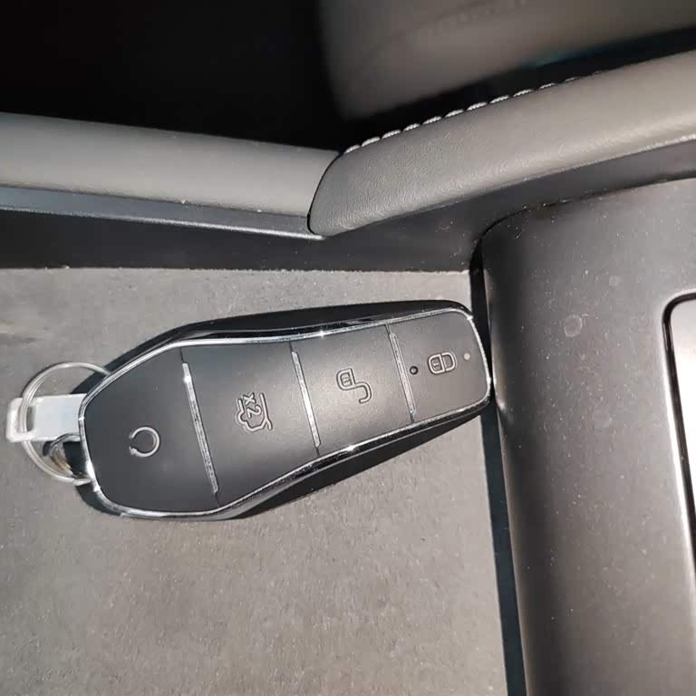 Qin L 2024 DM-i 120KM Excellence Edition Qin L 2024 DM-i 120KM Excellence Edition