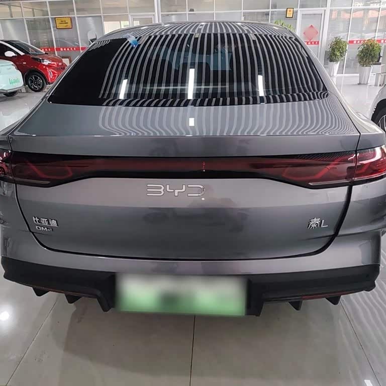 Qin L 2024 DM-i 120KM Excellence Edition Qin L 2024 DM-i 120KM Excellence Edition