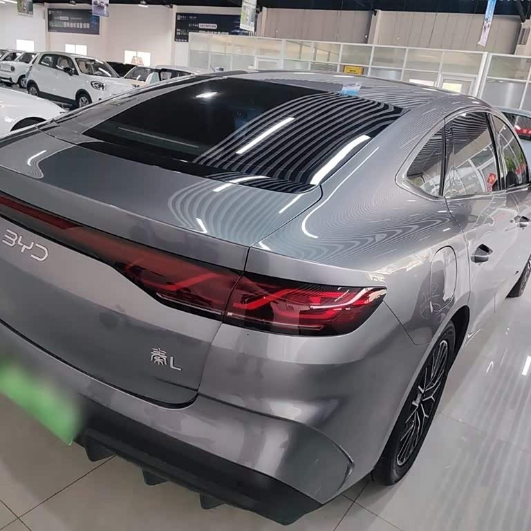 Qin L 2024 DM-i 120KM Excellence Edition Qin L 2024 DM-i 120KM Excellence Edition