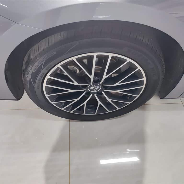 Qin L 2024 DM-i 120KM Excellence Edition Qin L 2024 DM-i 120KM Excellence Edition