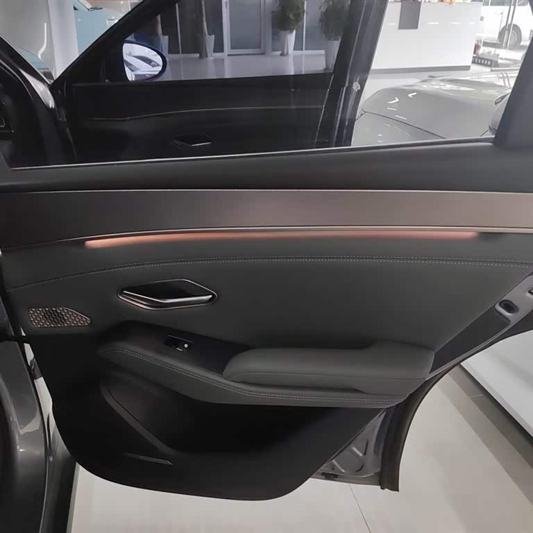 Qin L 2024 DM-i 120KM Excellence Edition Qin L 2024 DM-i 120KM Excellence Edition