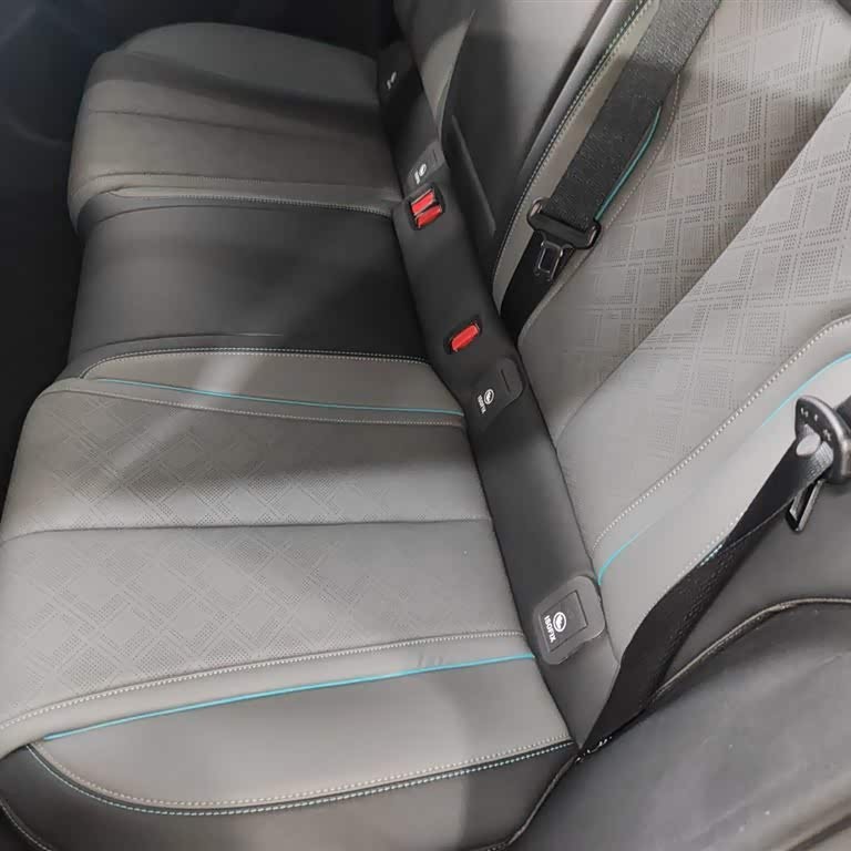 Qin L 2024 DM-i 120KM Excellence Edition Qin L 2024 DM-i 120KM Excellence Edition