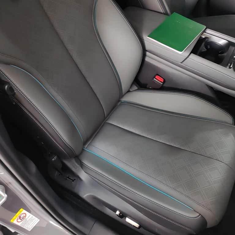 Qin L 2024 DM-i 120KM Excellence Edition Qin L 2024 DM-i 120KM Excellence Edition