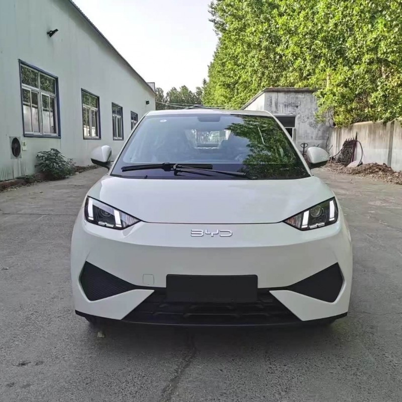 Seagull 2025 Smart Driving Edition 305km Vitality Edition Seagull 2025 Smart Driving Edition 305km Vitality Edition