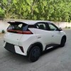 Seagull 2025 Smart Driving Edition 305km Vitality Edition