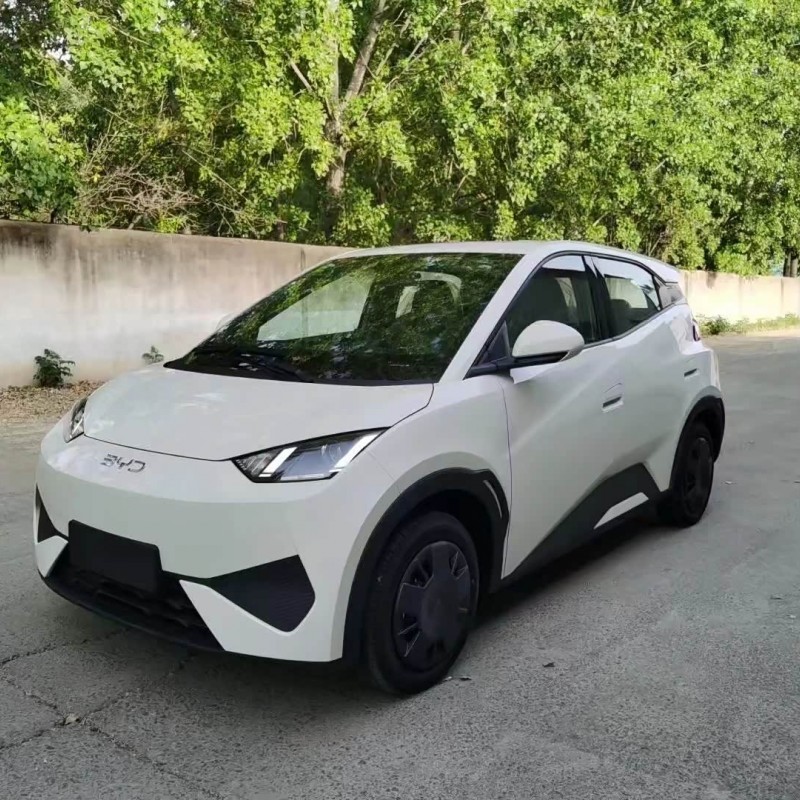 Seagull 2025 Smart Driving Edition 305km Vitality Edition