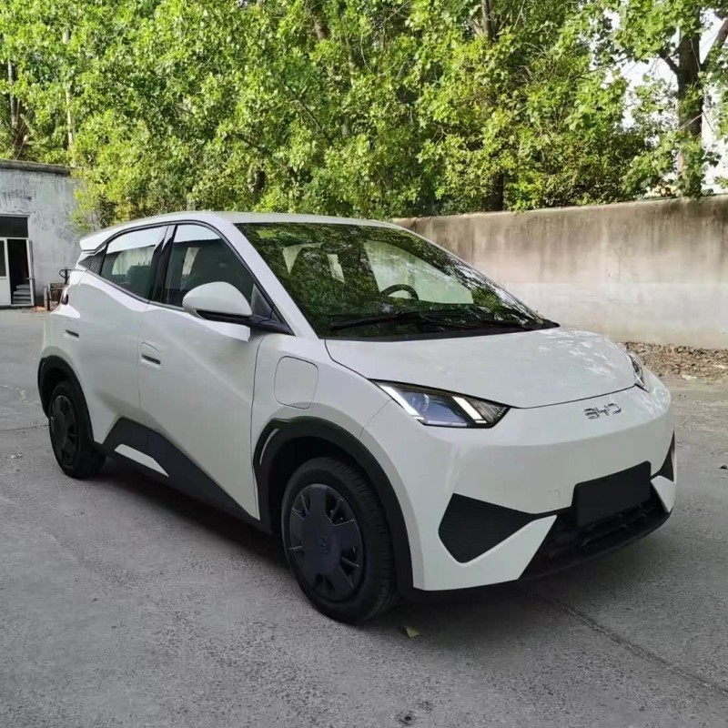 Seagull 2025 Smart Driving Edition 305km Vitality Edition Seagull 2025 Smart Driving Edition 305km Vitality Edition