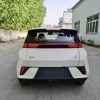 Seagull 2025 Smart Driving Edition 305km Vitality Edition