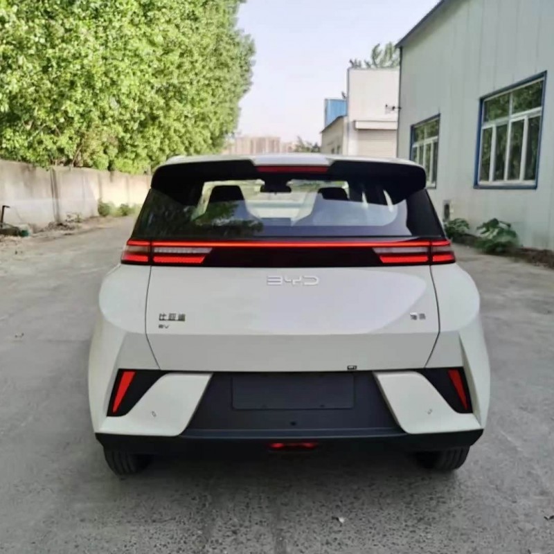 Seagull 2025 Smart Driving Edition 305km Vitality Edition Seagull 2025 Smart Driving Edition 305km Vitality Edition