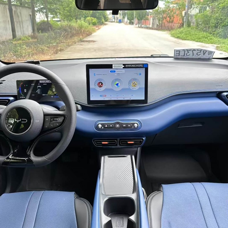 Seagull 2025 Smart Driving Edition 305km Vitality Edition Seagull 2025 Smart Driving Edition 305km Vitality Edition