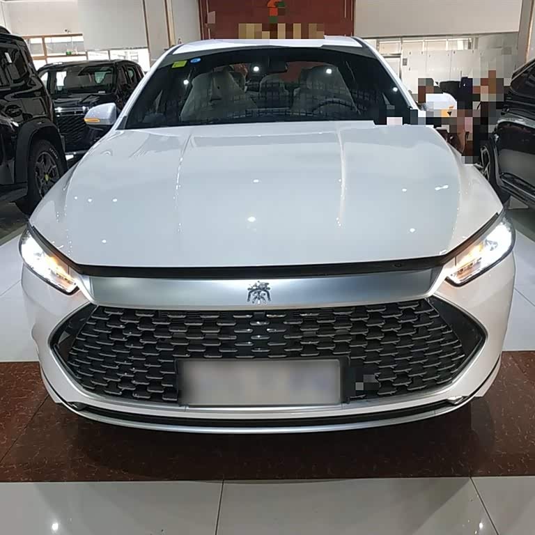 Qin PLUS 2024 Honor Edition DM-i 55KM Leading Edition Qin PLUS 2024 Honor Edition DM-i 55KM Leading Edition
