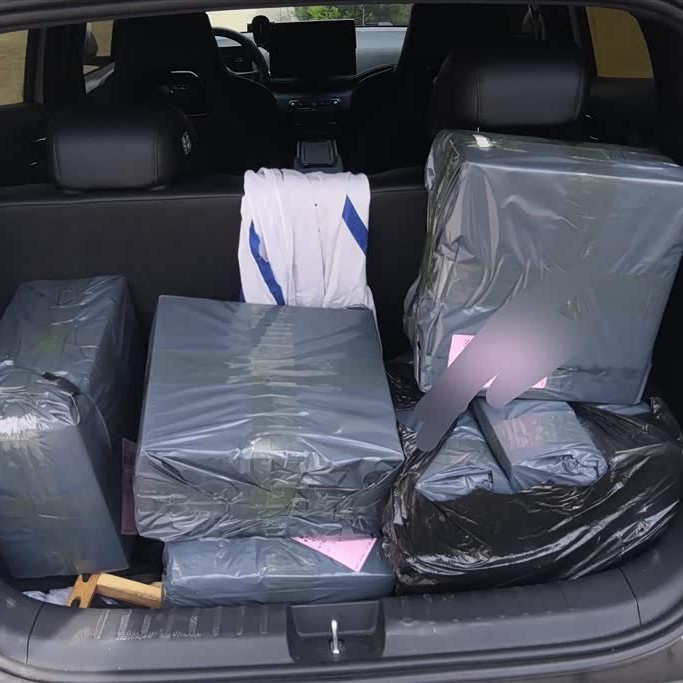Seagull 2025 Smart Driving Edition 305km Free Edition Seagull 2025 Smart Driving Edition 305km Free Edition