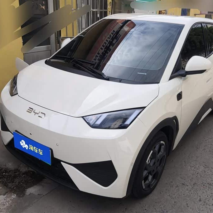 Seagull 2025 Smart Driving Edition 305km Free Edition