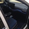 Seagull 2025 Smart Driving Edition 305km Free Edition
