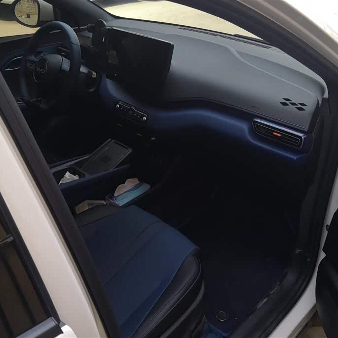 Seagull 2025 Smart Driving Edition 305km Free Edition Seagull 2025 Smart Driving Edition 305km Free Edition