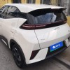 Seagull 2025 Smart Driving Edition 305km Free Edition