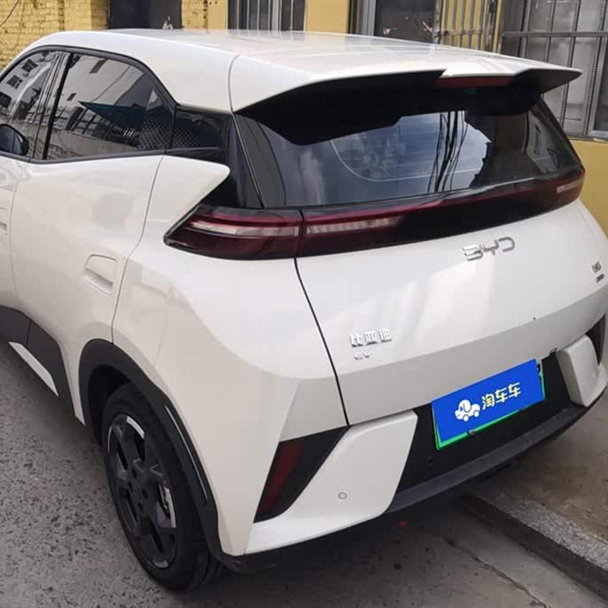 Seagull 2025 Smart Driving Edition 305km Free Edition Seagull 2025 Smart Driving Edition 305km Free Edition
