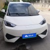 Seagull 2025 Smart Driving Edition 305km Free Edition