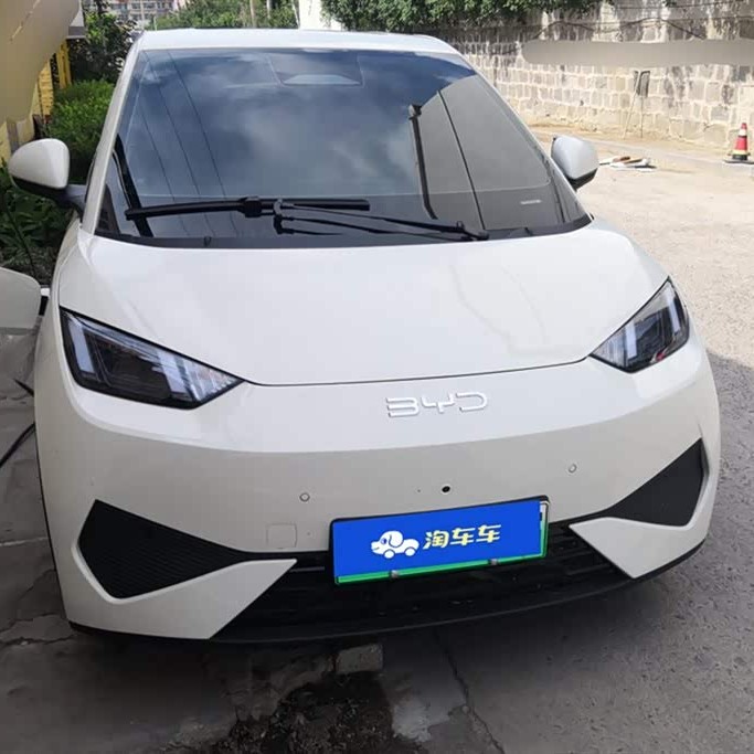 Seagull 2025 Smart Driving Edition 305km Free Edition Seagull 2025 Smart Driving Edition 305km Free Edition