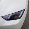 Seagull 2025 Smart Driving Edition 305km Free Edition