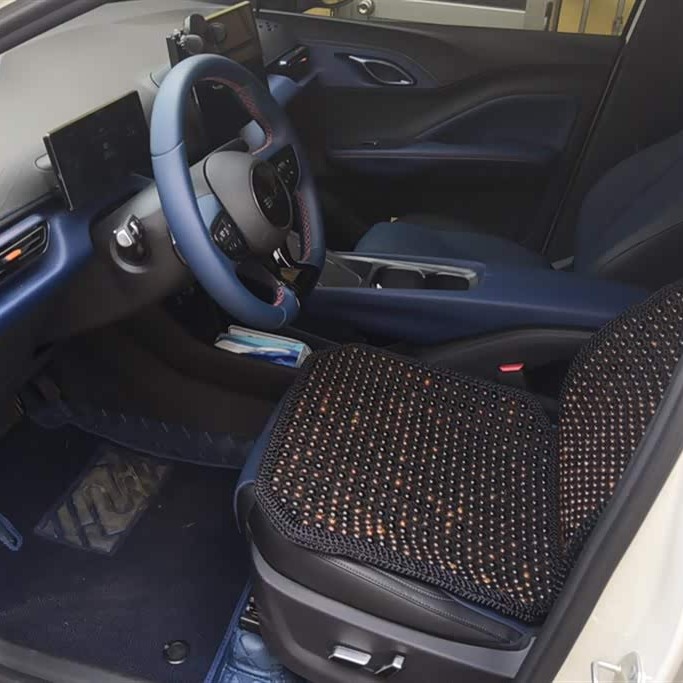 Seagull 2025 Smart Driving Edition 305km Free Edition Seagull 2025 Smart Driving Edition 305km Free Edition