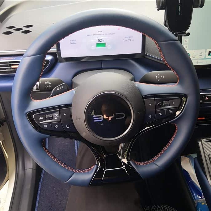 Seagull 2025 Smart Driving Edition 305km Free Edition Seagull 2025 Smart Driving Edition 305km Free Edition