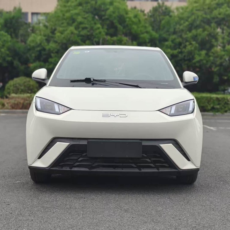 Seagull 2025 305km Vitality Edition Seagull 2025 305km Vitality Edition