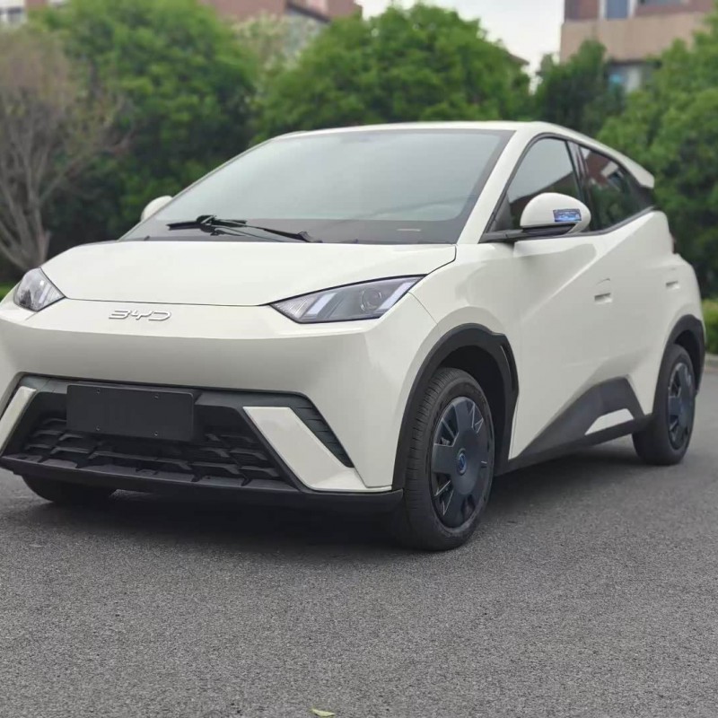 Seagull 2025 305km Vitality Edition