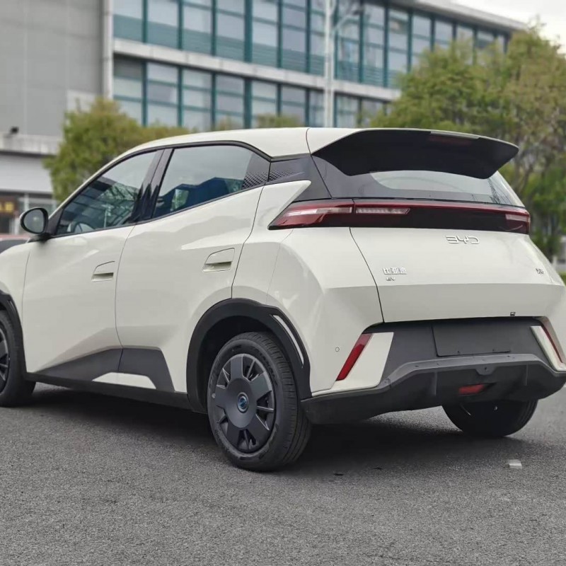 Seagull 2025 305km Vitality Edition Seagull 2025 305km Vitality Edition