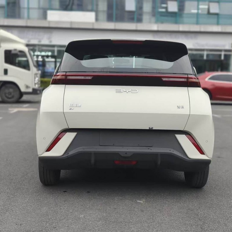 Seagull 2025 305km Vitality Edition Seagull 2025 305km Vitality Edition