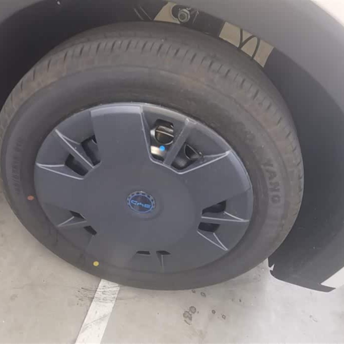 Seagull 2025 305km Vitality Edition Seagull 2025 305km Vitality Edition