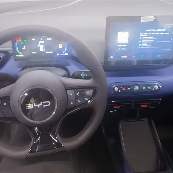 Seagull 2025 305km Vitality Edition Seagull 2025 305km Vitality Edition